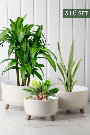 Tripot Model 3'lü Saksı Seti JHome